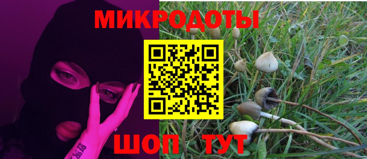 Псилоцибиновые грибы ЛСД Великий Устюг
